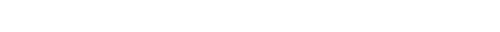 Rich Internet Applications (RIA)