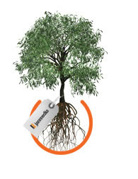 The Janmedia Tree